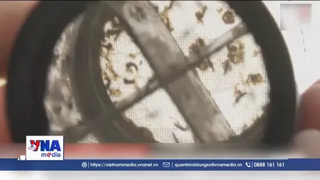 Singapore kiểm soát tốt dịch sốt xuất huyết