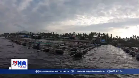 Người nuôi trồng thiếu con giống, thiếu vốn