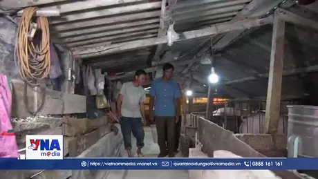 Tạo sinh kế, mở lối thoát nghèo cho miền núi Quảng Trị