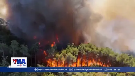 Trạm tin sáng ngày 31/12/2025