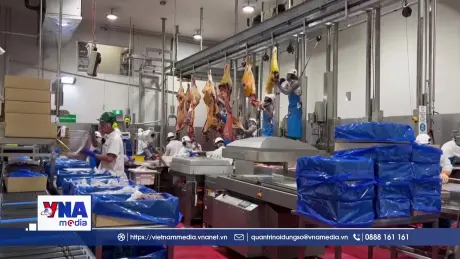 Australia quan ngại thuế nhập khẩu thịt bò mới của Trung Quốc