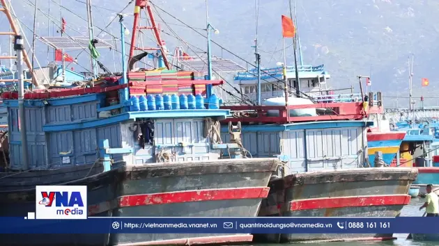 Tàu thuyền ở Khánh Hòa phải nằm bờ vì thời tiết bất lợi
