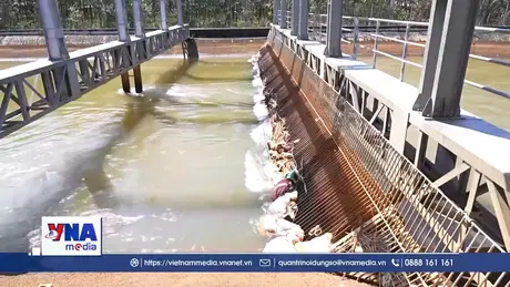 Nguồn nước hồ Dầu Tiếng bị đe doạ trước nạn vứt xác động vật chết