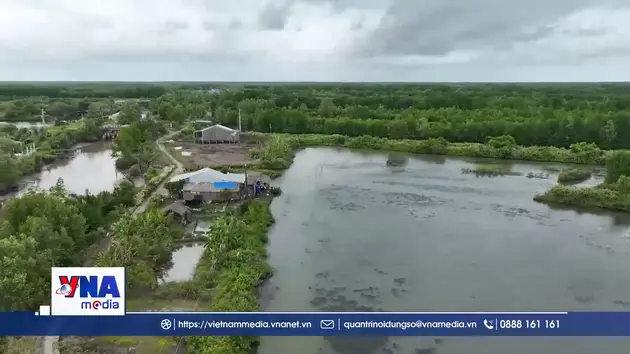 Thần tốc trong giải phóng mặt bằng cao tốc Cà Mau - Đất Mũi