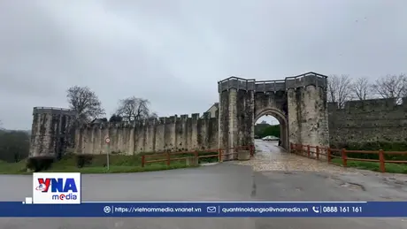 Mật ong hoa hồng Provins - giọt ngọt từ di sản