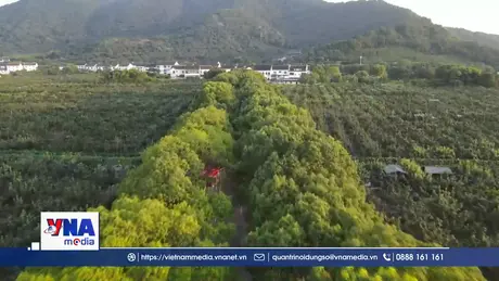 Trung Quốc công bố kế hoạch thúc đẩy tiêu dùng “xanh”