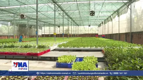 Nông nghiệp TP. HCM tái cấu trúc để phát triển bền vững