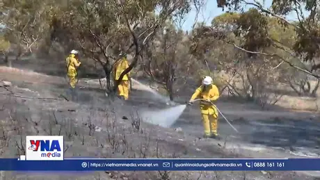 Nắng nóng cực độ tại Australia