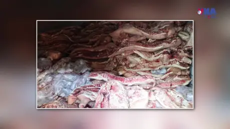 An ninh 365+ ngày 08/01/2026: Bắt Công 