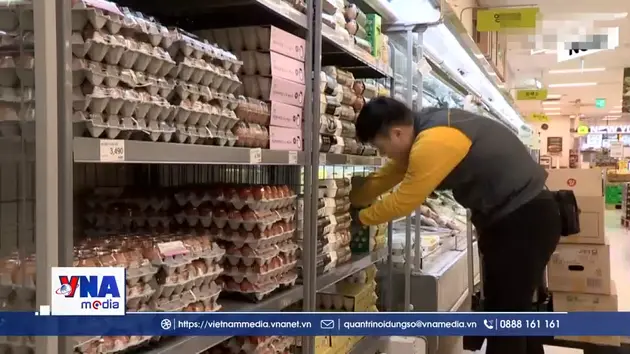 Hàn Quốc nhập khẩu hơn 2 triệu quả trứng từ Mỹ