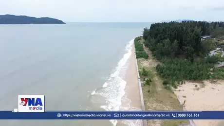 Quảng Ninh tăng cường kiểm soát tàu cá, quyết tâm gỡ “thẻ vàng” IUU