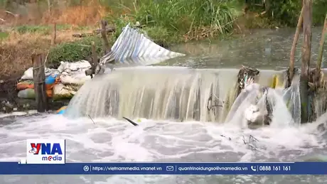 Tây Ninh: Rạch Rễ Dưới 