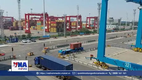 Cảng biển thông minh – Nâng cao năng lực kết nối và cạnh tranh