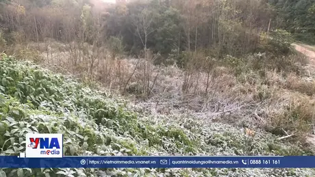 Nhiệt độ xuống dưới 0°C, băng giá xuất hiện tại miền tây Nghệ An