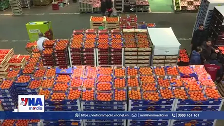 Thâm hụt thương mại Mỹ giảm