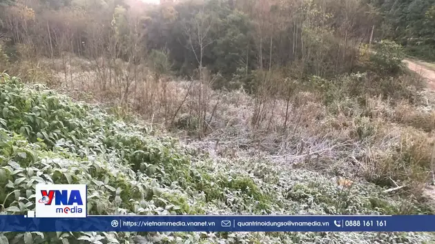 Nhiệt độ xuống dưới 0°C, băng giá xuất hiện tại miền tây Nghệ An