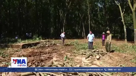 Chiến dịch giải phóng mặt bằng cao tốc Gia Nghĩa - Chơn Thành