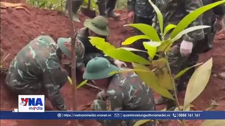 Quảng Trị tìm kiếm, quy tập 2 hài cốt liệt sĩ