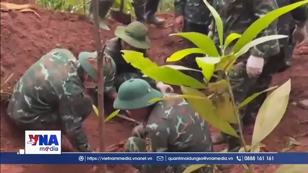 Quảng Trị tìm kiếm, quy tập 2 hài cốt liệt sĩ