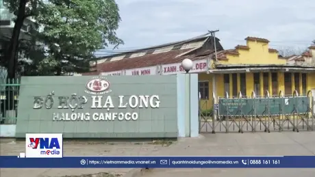 Bắt khẩn cấp Tổng Giám đốc Công ty CP Đồ hộp Hạ Long