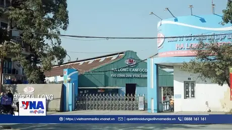 Trạm tin tối ngày 10/01/2026: Bắt khẩn cấp Tổng Giám đốc Công ty CP Đồ hộp Hạ Long