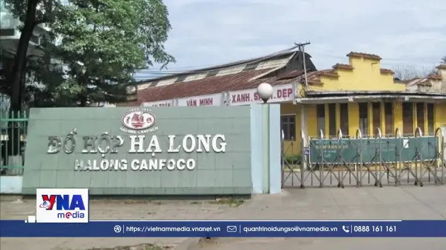 Bắt khẩn cấp Tổng Giám đốc Công ty CP Đồ hộp Hạ Long