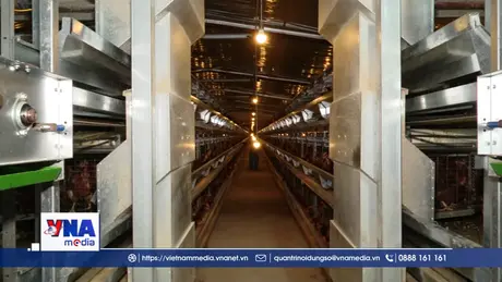 Quảng Trị phát triển nông nghiệp xanh, bền vững