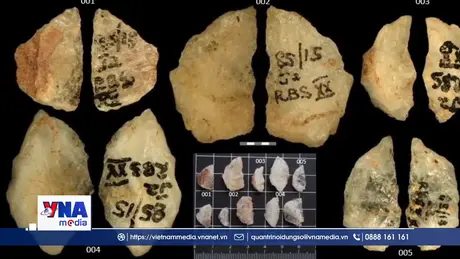 Phát hiện mũi tên tẩm độc lâu đời nhất hành tinh