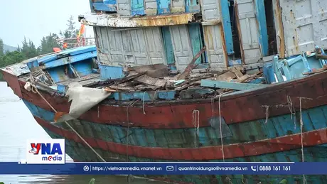 Quảng Ngãi “tiếp sức” cho ngư dân chuyển đổi nghề