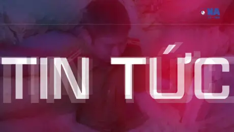 An ninh 365+ ngày 13/01/2026:Liên tiếp triệt phá các vụ mua bán chất cấm và tàng trữ trái phép vũ khí quân dụng