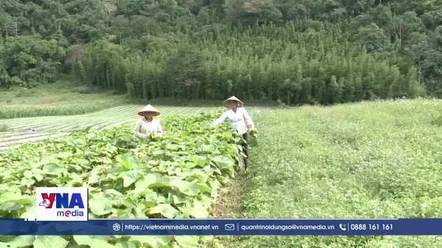 Chuyển đổi sinh kế, hướng đi bền vững ở các xã vùng khó Phú Thọ