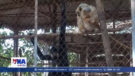 Tiếp nhận và tái thả nhiều động vật hoang dã quý hiếm