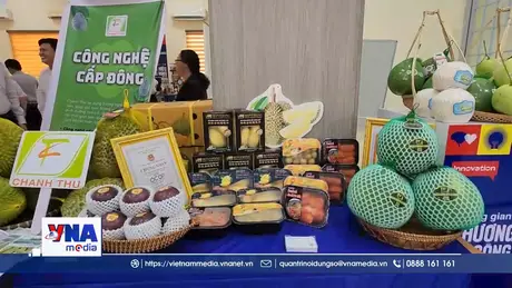 Ra mắt Không gian Thương hiệu và Công nghệ tỉnh Vĩnh Long