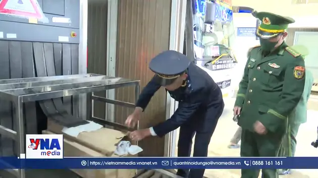 Hà Tĩnh quyết liệt ngăn chặn gian lận thương mại từ biên giới