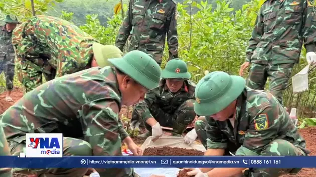 Quảng Trị tìm kiếm, quy tập thêm 2 hài cốt liệt sĩ