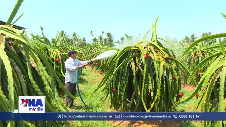 Nông nghiệp liên tục tăng trưởng và là trụ đỡ cho nền kinh tế