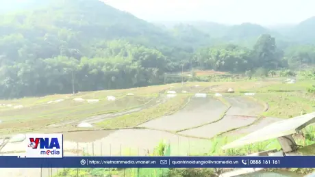 Thanh Hóa: Nhịp sống hồi sinh sau bão lũ