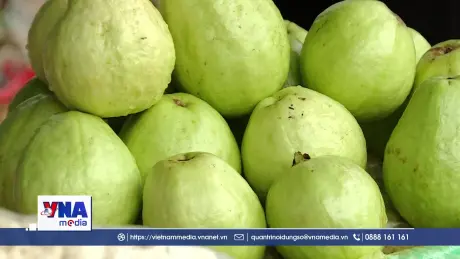 Công nghệ số tạo động lực thoát nghèo cho người dân