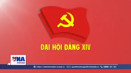 Trạm tin trưa ngày 16/01: Chiến dịch Quang Trung đã chiến thắng rất giòn giã