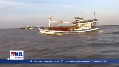 Cần Thơ xử lý dứt điểm tàu cá không đủ điều kiện hoạt động