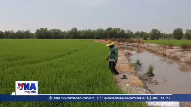 Nông dân Tây Ninh kỳ vọng vào “làn gió mới”