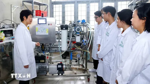 Đại hội XIV của Đảng: Đột phá nguồn nhân lực - nền tảng bền vững cho phát triển