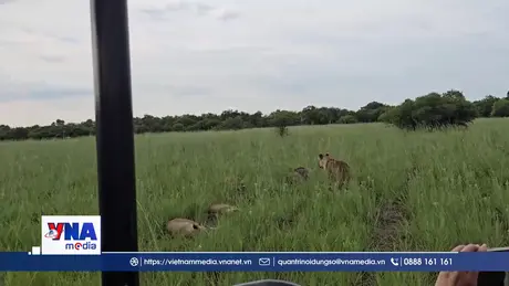 Trải nghiệm hành trình đi tìm Ngũ đại thú ở Nam Phi