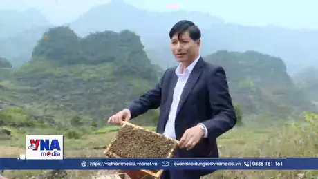 Nuôi ong bạc hà thời công nghệ số trên Cao nguyên đá Đồng Văn