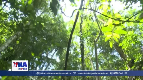 Thanh Hóa nhân giống, bảo tồn và phát triển các loài thực vật quý hiếm