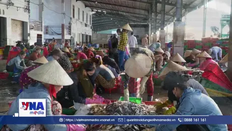 Ngư dân Cà Mau trúng mùa trong những chuyến biển cuối năm