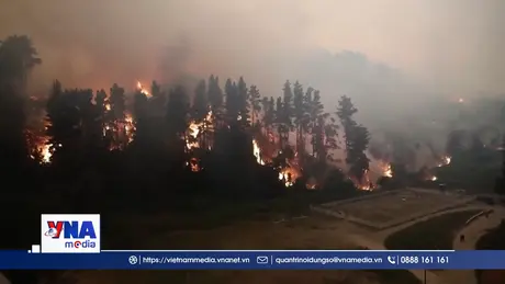 Chile ban bố tình trạng khẩn cấp do cháy rừng