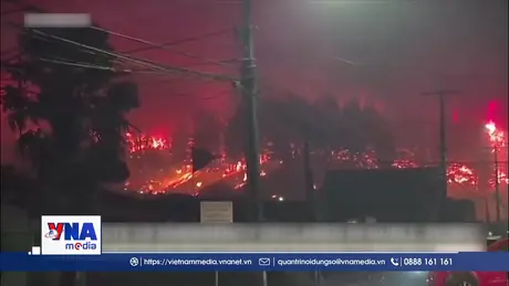 Cháy rừng gây thiệt hại nghiêm trọng tại Chile