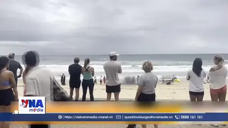 Sydney (Australia) đóng cửa các bãi biển do cá mập