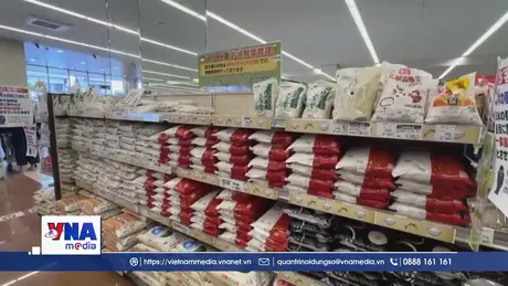 Cảnh báo tác động của biến đổi khí hậu đến chất lượng và sản lượng gạo